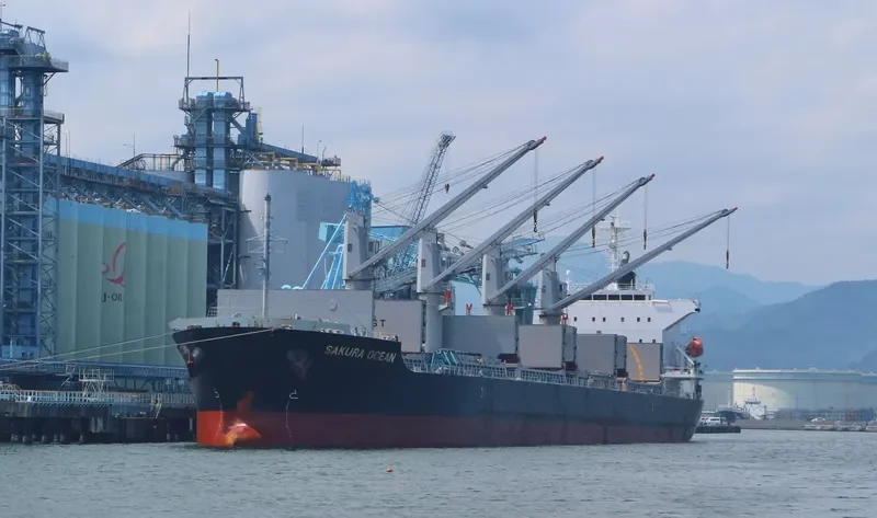 TRUE MARINER Bulk Carrier IMO 9599822 photo 6