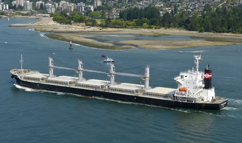 TRUE MARINER Bulk Carrier IMO 9599822 photo 9