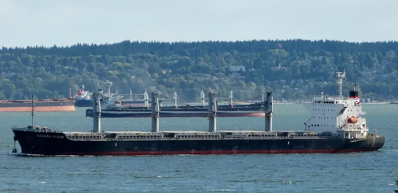 TRUE MARINER Bulk Carrier IMO 9599822 photo 10