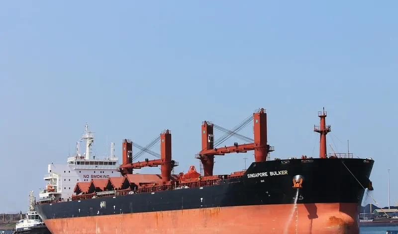 SINGAPORE BULKER Bulk Carrier IMO 9599901 photo 2
