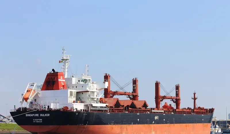 SINGAPORE BULKER Bulk Carrier IMO 9599901 photo 3
