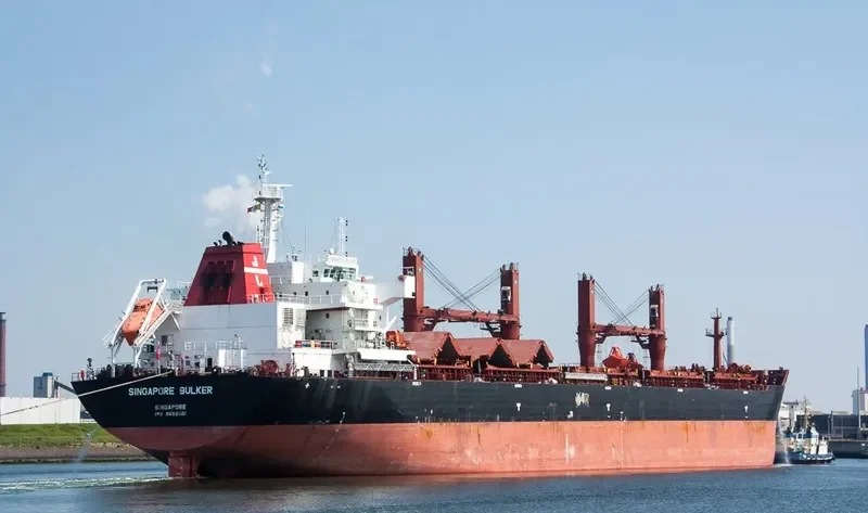 SINGAPORE BULKER Bulk Carrier IMO 9599901 photo 4