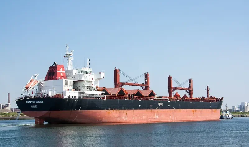 SINGAPORE BULKER Bulk Carrier IMO 9599901 photo 5