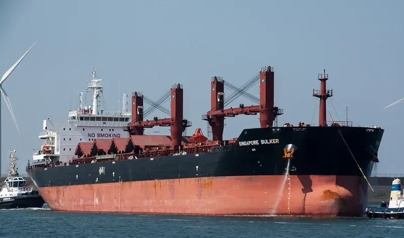 SINGAPORE BULKER Bulk Carrier IMO 9599901 photo 7