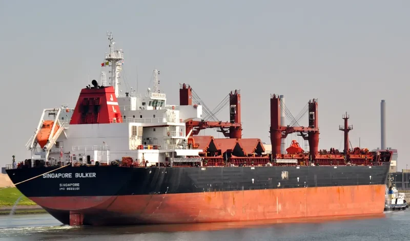 SINGAPORE BULKER Bulk Carrier IMO 9599901 photo 8