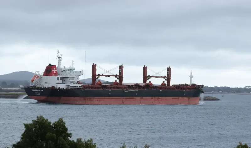 SHANGHAI BULKER Bulk Carrier IMO 9599913 photo 2