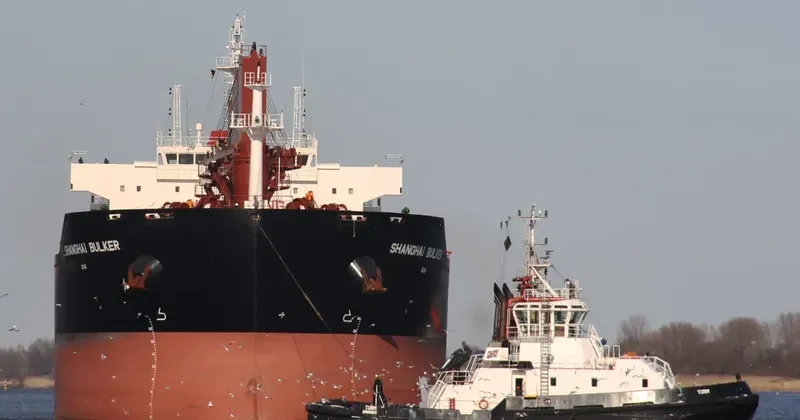 SHANGHAI BULKER Bulk Carrier IMO 9599913 photo 5