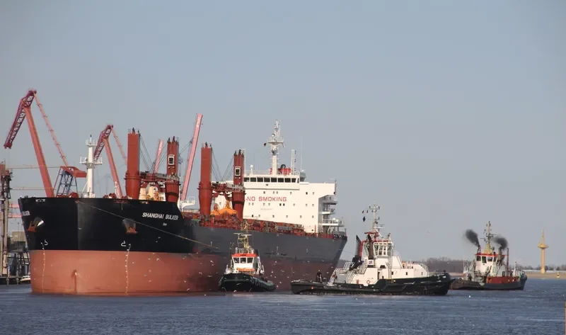 SHANGHAI BULKER Bulk Carrier IMO 9599913 photo 6