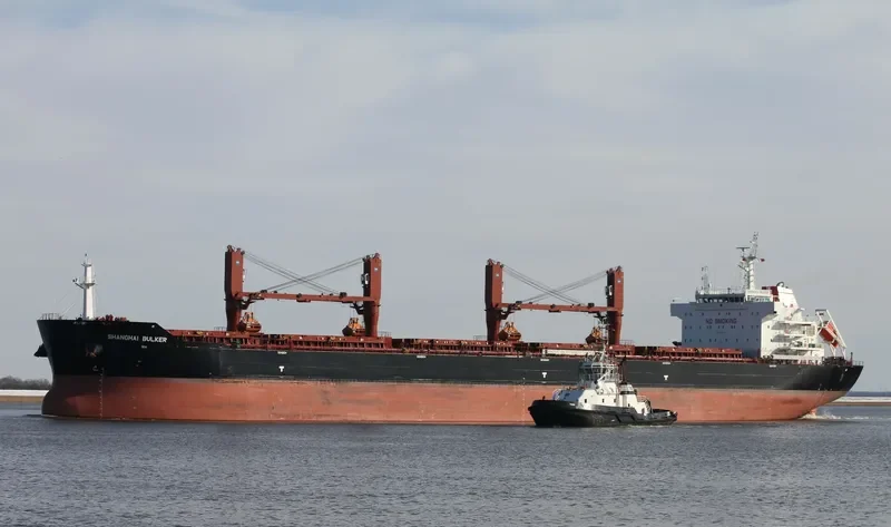 SHANGHAI BULKER Bulk Carrier IMO 9599913 photo 7