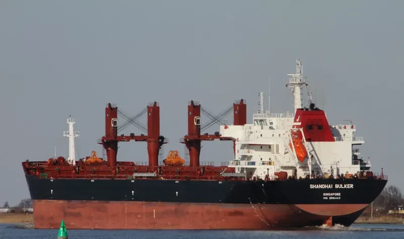 SHANGHAI BULKER Bulk Carrier IMO 9599913 photo 8