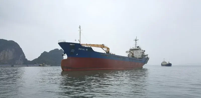 ROYAL 16 Bulk Carrier IMO 9600011