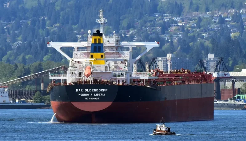 MAX WARRIOR Bulk Carrier IMO 9600425 photo 4