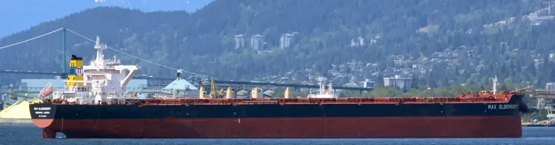 MAX WARRIOR Bulk Carrier IMO 9600425 photo 6
