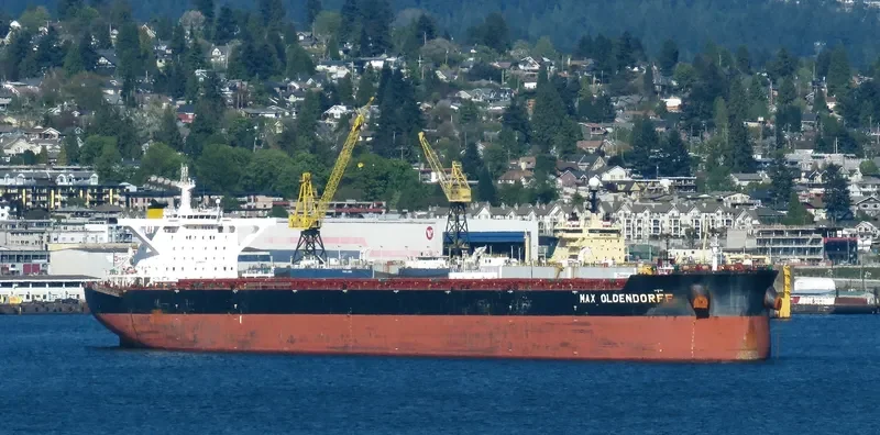MAX WARRIOR Bulk Carrier IMO 9600425 photo 7