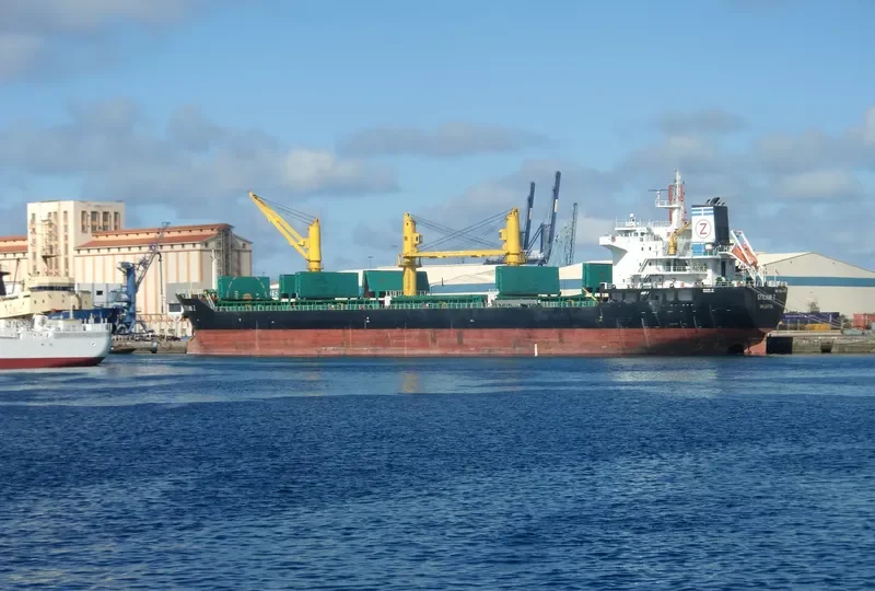 BULKER BEE 21 Bulk Carrier IMO 9600607