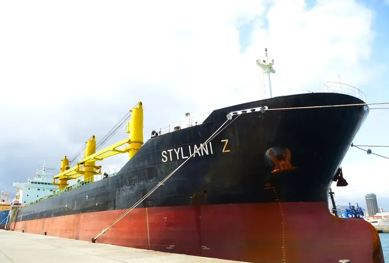 BULKER BEE 21 Bulk Carrier IMO 9600607 photo 3