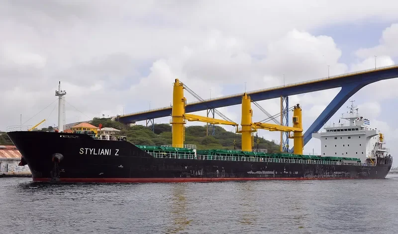 BULKER BEE 21 Bulk Carrier IMO 9600607 photo 6