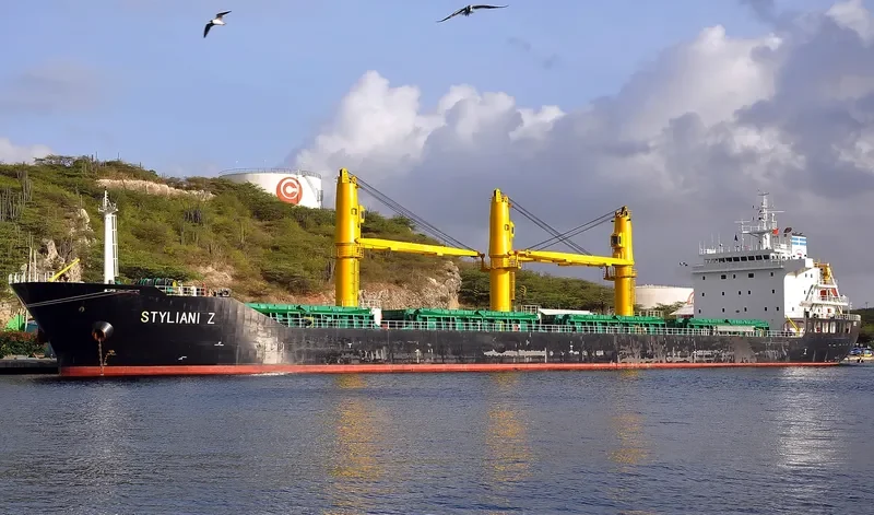 BULKER BEE 21 Bulk Carrier IMO 9600607 photo 8