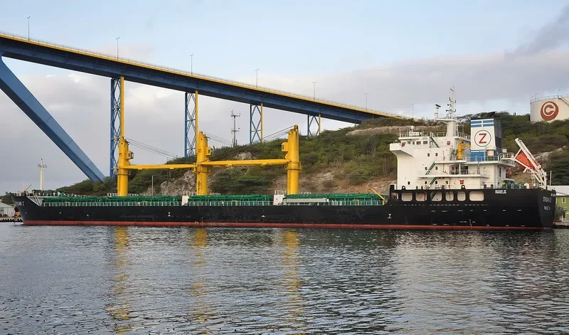 BULKER BEE 21 Bulk Carrier IMO 9600607 photo 9