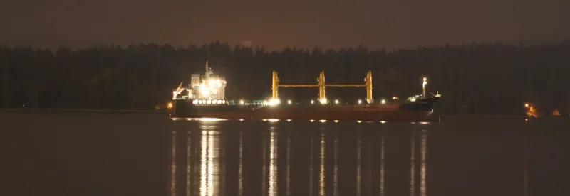 BULKER BEE 21 Bulk Carrier IMO 9600607 photo 10