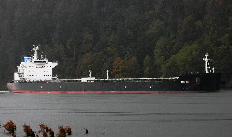 DONA BIBI Bulk Carrier IMO 9600619 photo 2