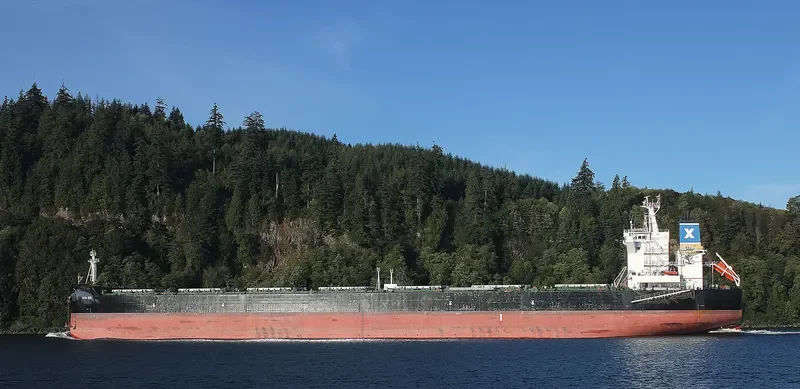 DONA BIBI Bulk Carrier IMO 9600619 photo 4