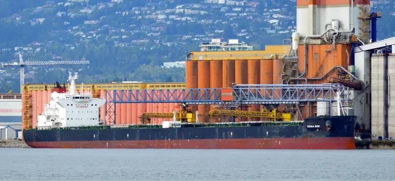 DONA BIBI Bulk Carrier IMO 9600619 photo 6