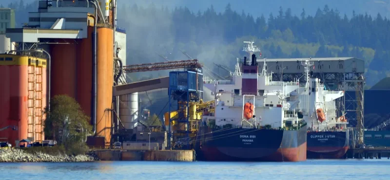 DONA BIBI Bulk Carrier IMO 9600619 photo 7