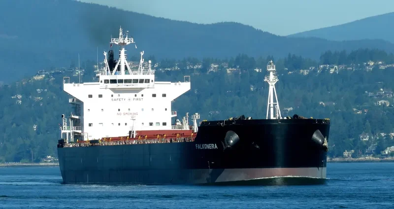 FALKONERA Bulk Carrier IMO 9600621 photo 4