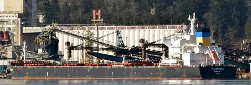 FALKONERA Bulk Carrier IMO 9600621 photo 6