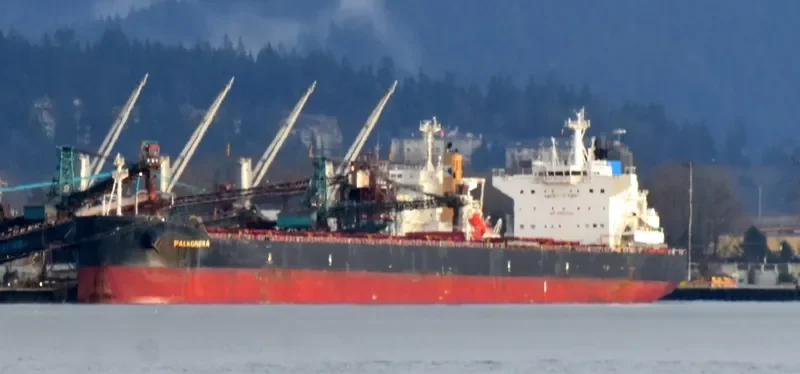 FALKONERA Bulk Carrier IMO 9600621 photo 7