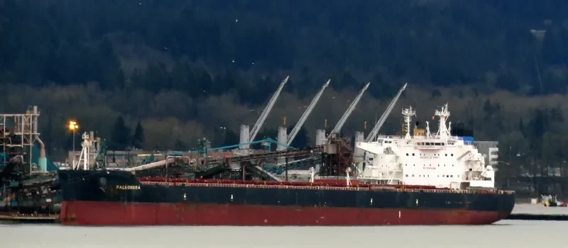 FALKONERA Bulk Carrier IMO 9600621 photo 8