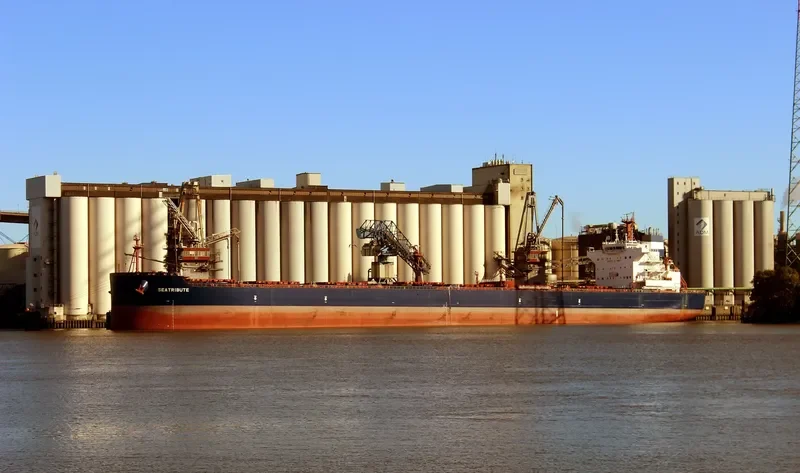 MSXT OCEANUS Bulk Carrier IMO 9600633