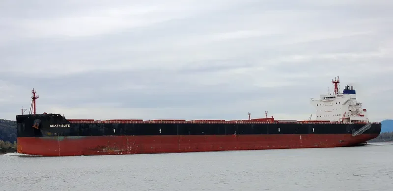 MSXT OCEANUS Bulk Carrier IMO 9600633 photo 4