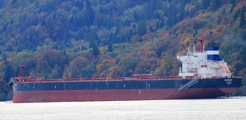 MSXT OCEANUS Bulk Carrier IMO 9600633 photo 6