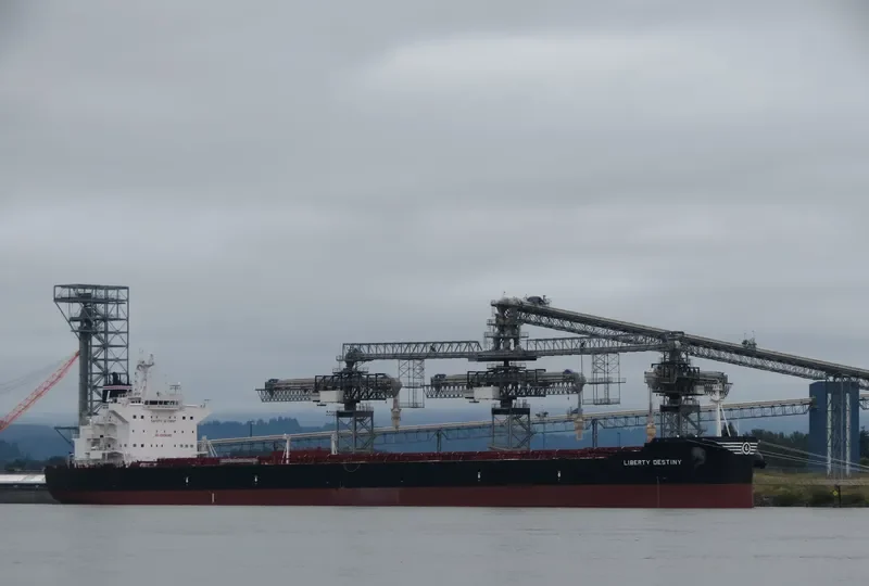 MSXT OCEANUS Bulk Carrier IMO 9600633 photo 10