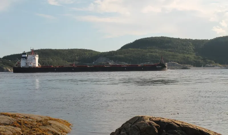 ASTARTE Bulk Carrier IMO 9600645 photo 2