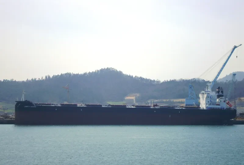 ANTIPAROS Bulk Carrier IMO 9600657 photo 6