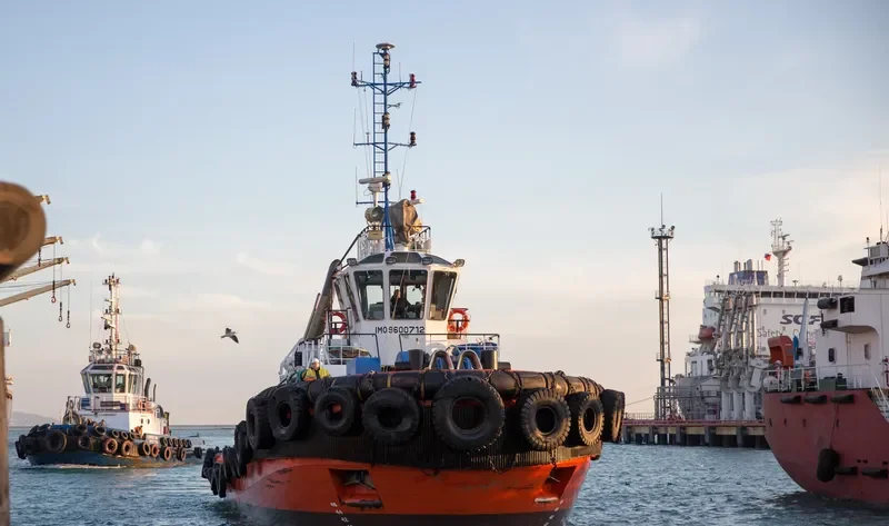 SD RANGER General Cargo IMO 9600712