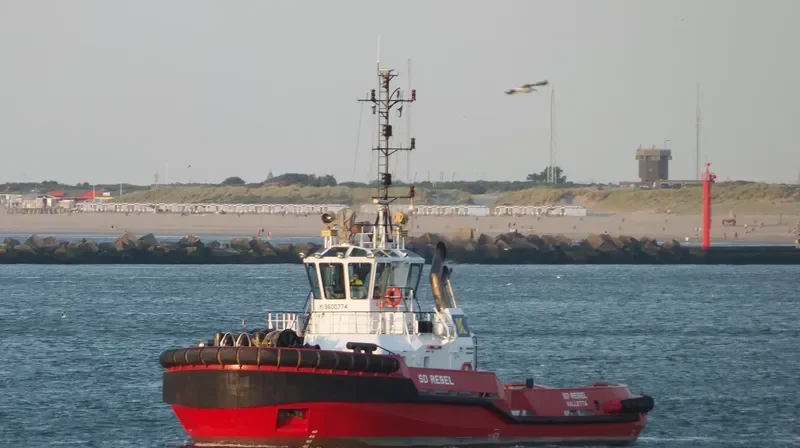 SD REBEL General Cargo IMO 9600774 photo 10