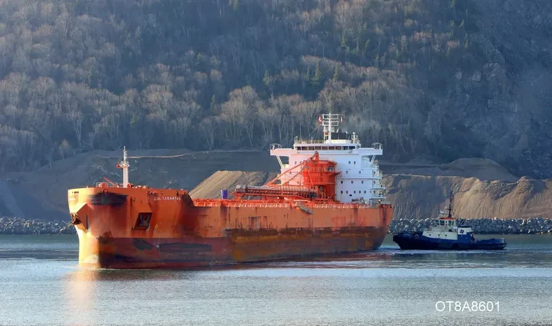 CSL TARANTAU Bulk Carrier IMO 9600982