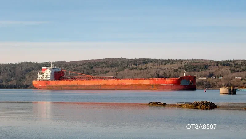 CSL TARANTAU Bulk Carrier IMO 9600982 photo 2