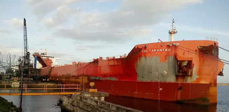 CSL TARANTAU Bulk Carrier IMO 9600982 photo 3