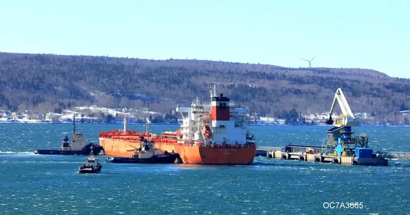 CSL TARANTAU Bulk Carrier IMO 9600982 photo 4
