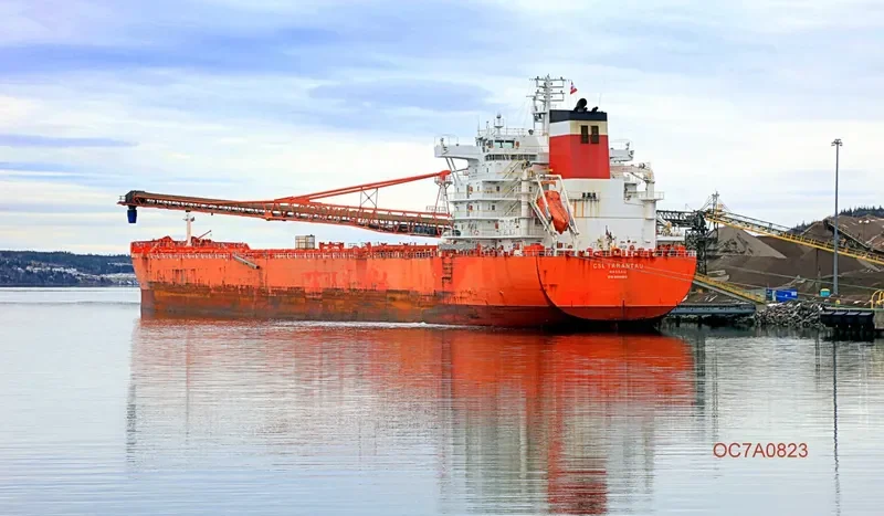 CSL TARANTAU Bulk Carrier IMO 9600982 photo 6