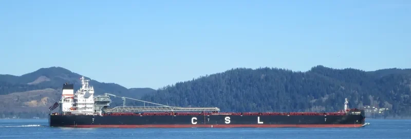 CSL TECUMSEH Bulk Carrier IMO 9600994 photo 7