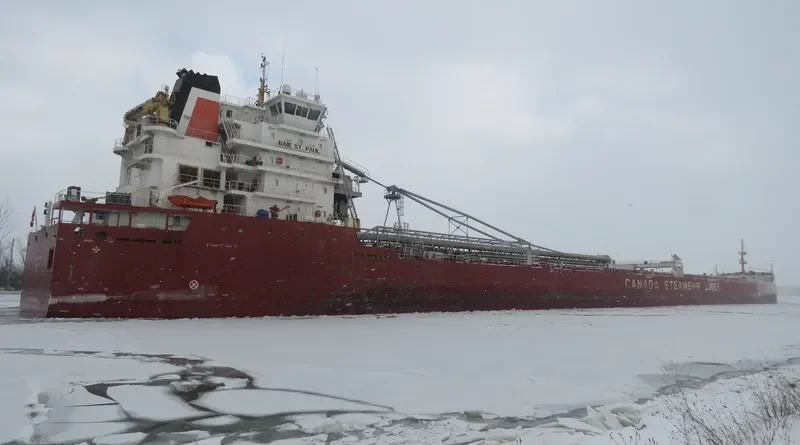 BAIE ST.PAUL Bulk Carrier IMO 9601027 photo 2