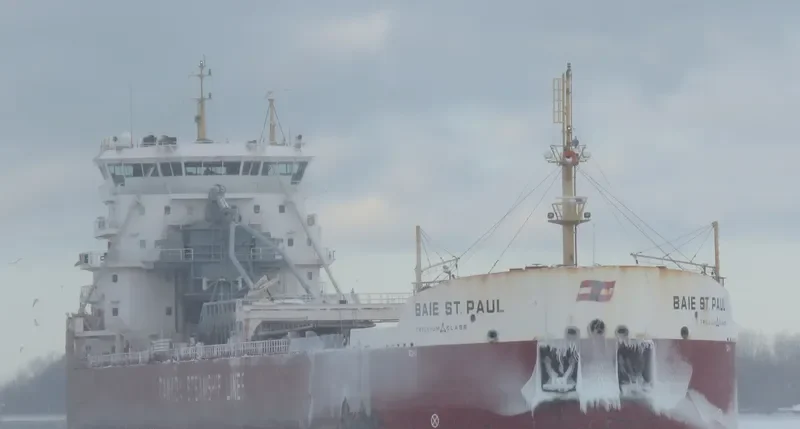 BAIE ST.PAUL Bulk Carrier IMO 9601027 photo 3