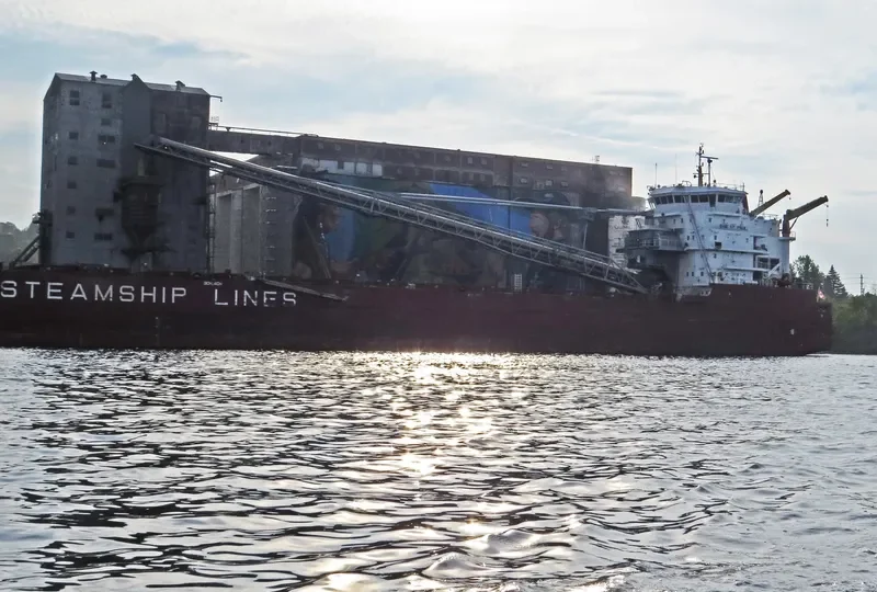 BAIE ST.PAUL Bulk Carrier IMO 9601027 photo 6