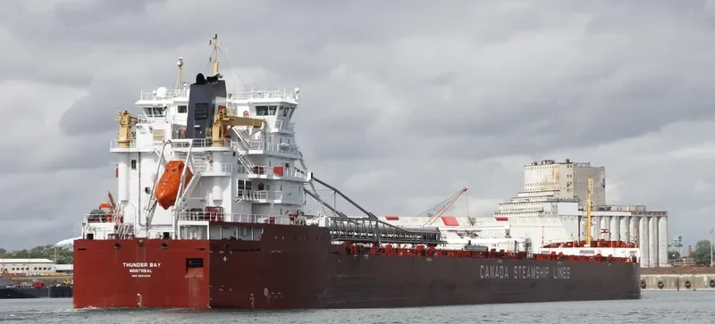 THUNDER BAY Bulk Carrier IMO 9601039